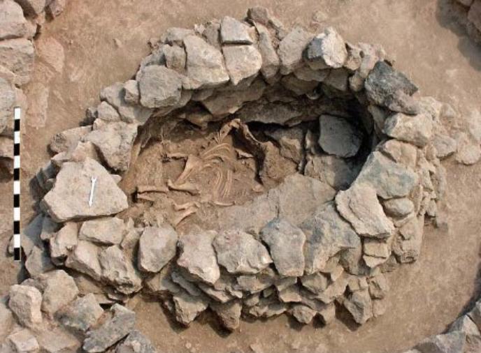 В Армении нашли конскую гробницу возрастом более 2100 лет